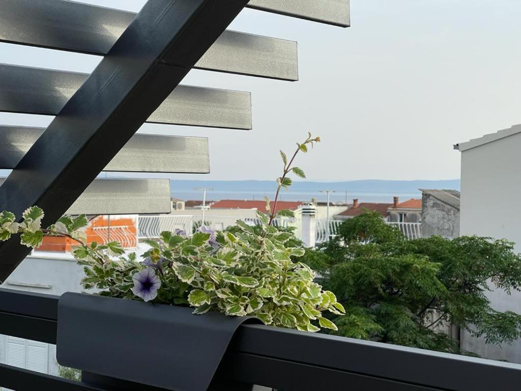 Villa Jadranka Apartments Tucepi Exterior photo